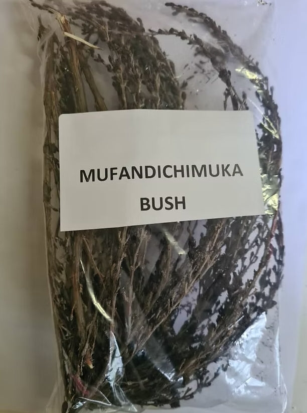 Mufandichimuka Resurrection bush x3