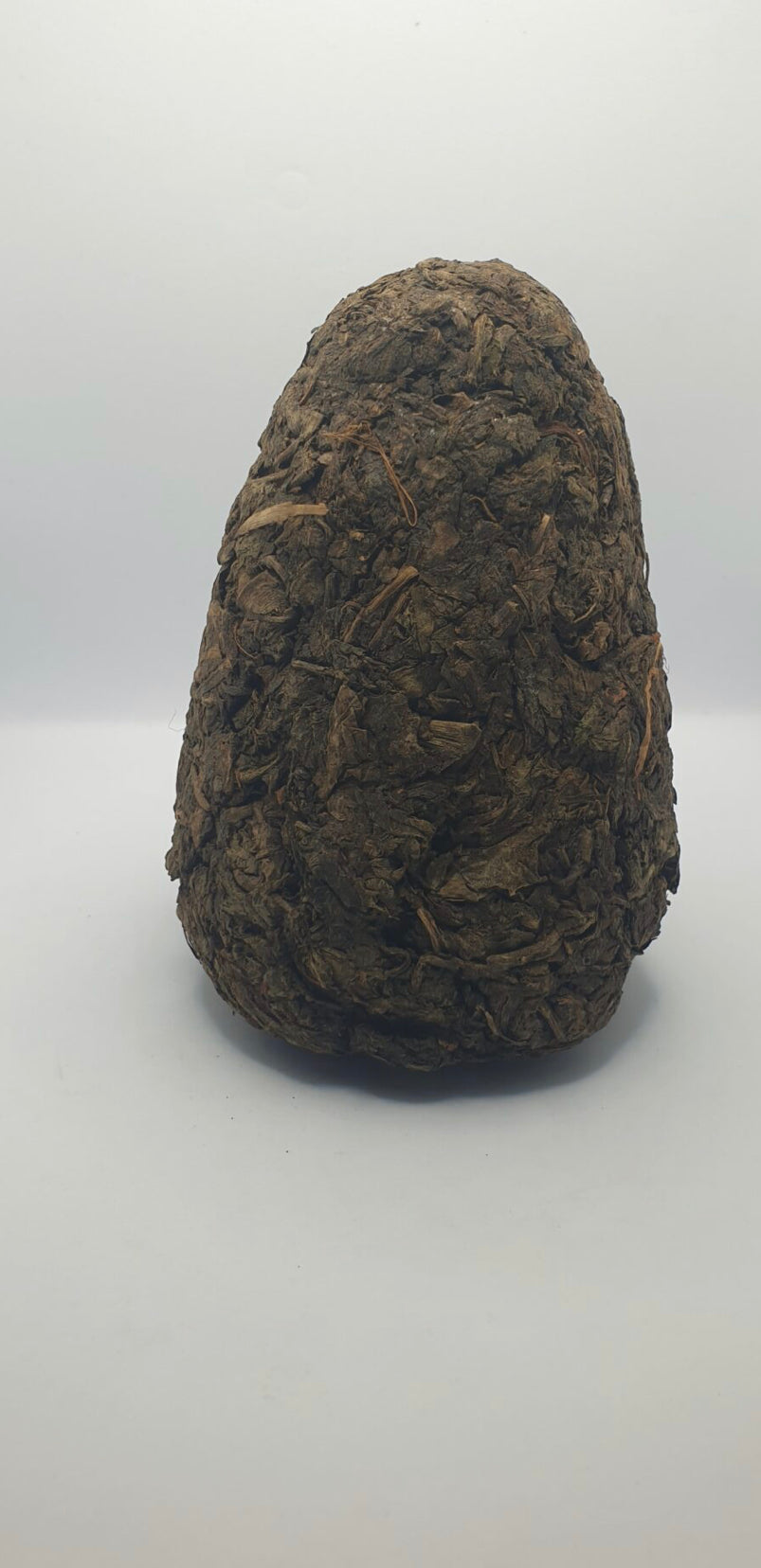 Chambwa Raw Whole