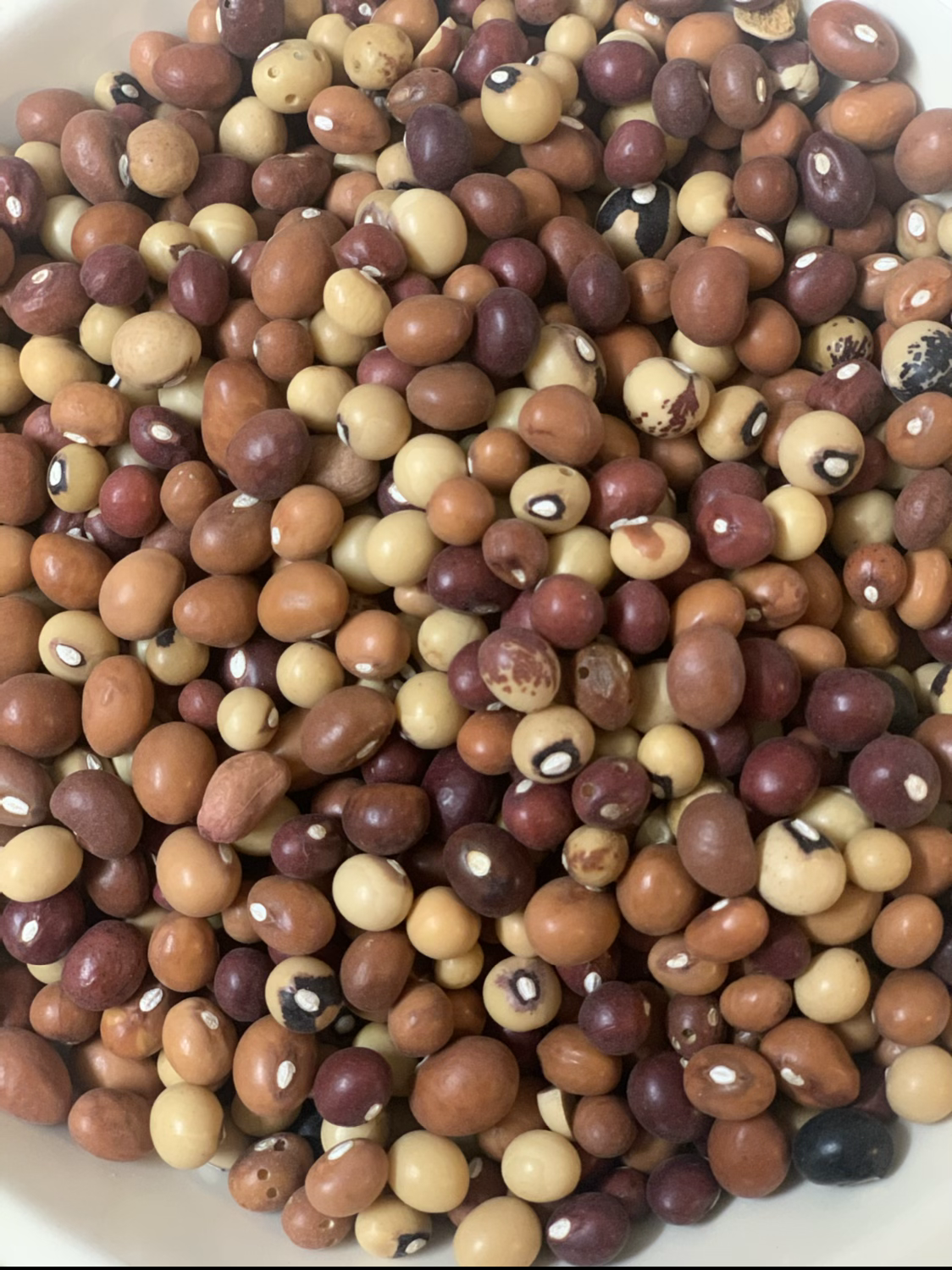 Zim Foods Nyimo roundnuts 300g