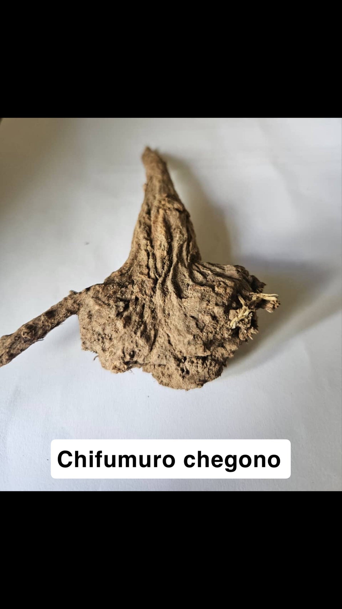 Chifumuro Chegono
