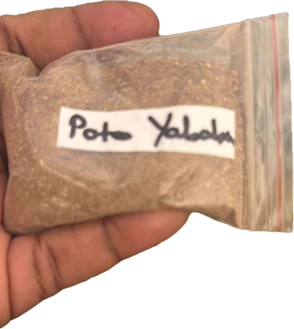 Poto Yababa vagina tightening 15g