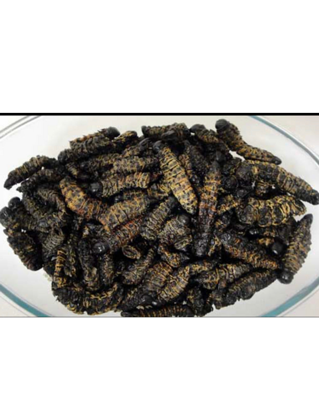 Madora - Macimbi Mopane Worms 100G