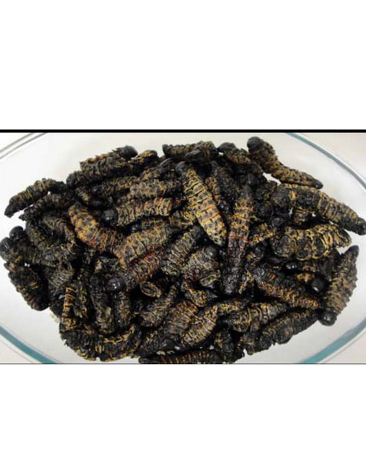 Madora - Macimbi Mopane Worms 100G